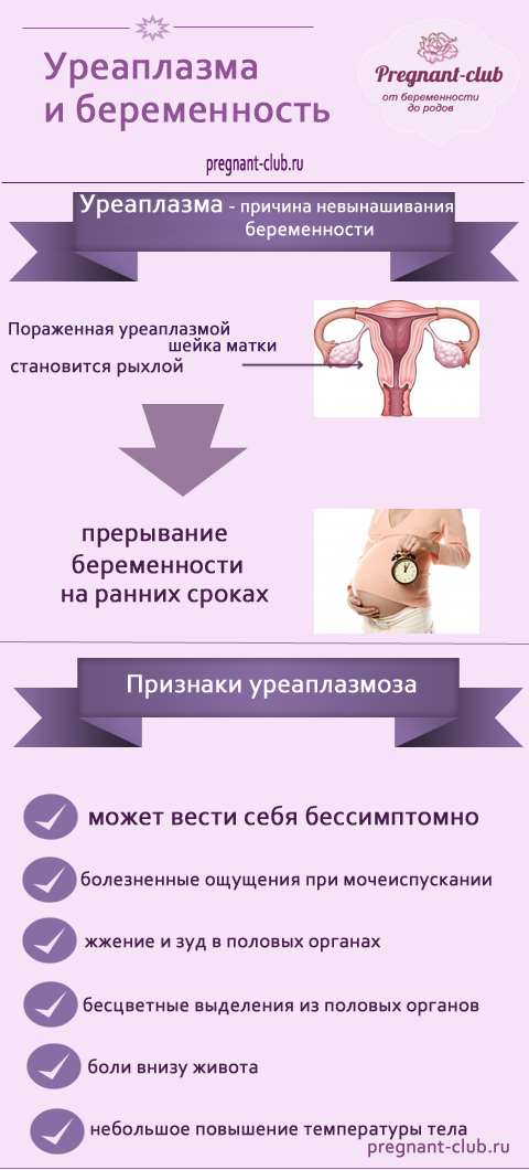 Уреоплазм и беременность Уреоплазм и беременность